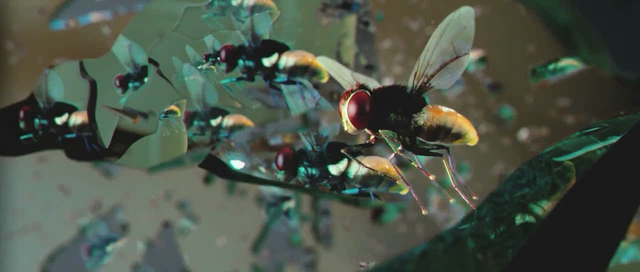 uump4.cc_功夫小蝇.Eega.2012.720p.BluRay.x264-D3Si 5.46G【简繁英】