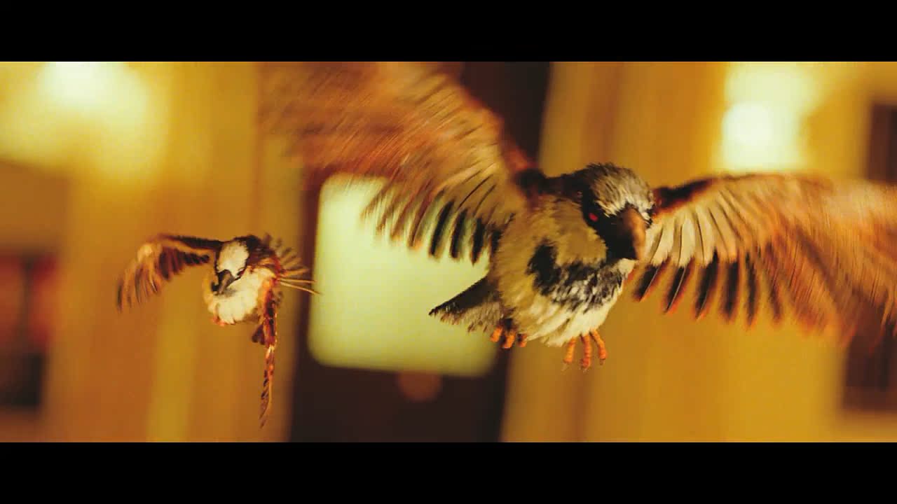 uump4.cc_功夫小蝇2012  Eega.2012.Blu-Ray-720p x264-AC3.SHINY 2.18G