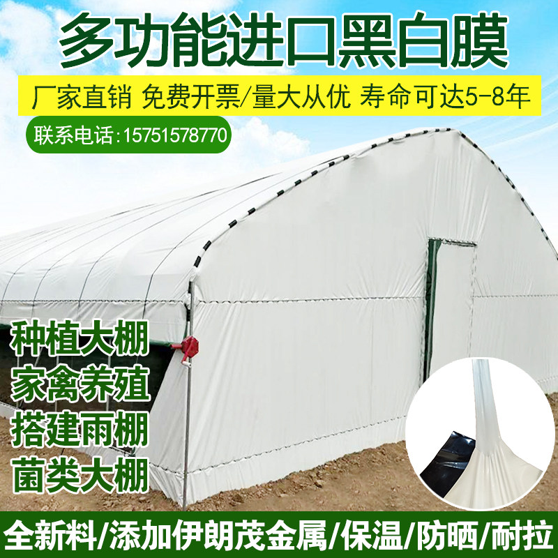 Imported thickened anti-aging black and white film breeding greenhouse chicken and duck plastic film sunscreen insulation reflective film insulation mushrooms