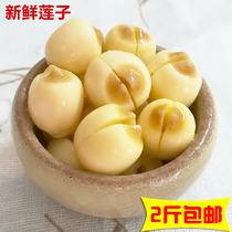Fresh frozen lotus seeds White lotus core to core with core Wet lotus seeds Chaozhou Dongfeng Fresh Gorgon 500g