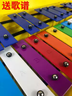 Special price Orff music teaching aids 25-tone aluminum board piano 25-tone piano playing professional piano