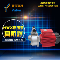 220 380V explosion-proof electric pump self-priming high-flow gasoline diesel methanol alcohol and other explosion-proof electric pump