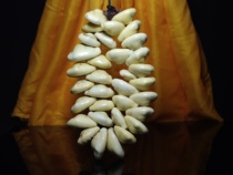 Tibetan ancient beads old beads handed down from Tibetan areas old shell coins small element rosary pendants old accessories side hanging old shells