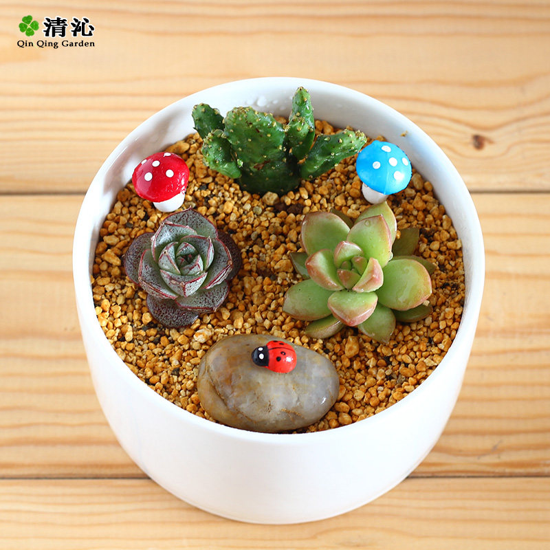 ���߶������������װ