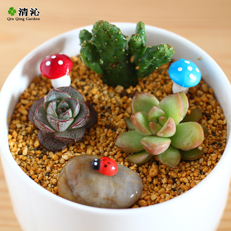 ���߶������������װ