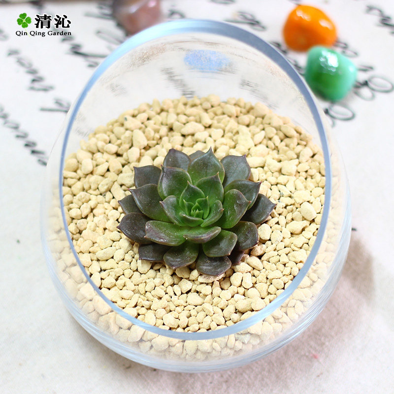 ���߶����辰������