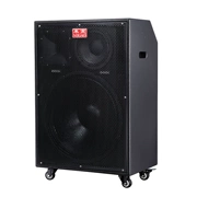 Michael MG1582A karaoke di động ngoài trời 18 inch bass công suất cao giai đoạn guitar hiệu suất 400W - Loa loa