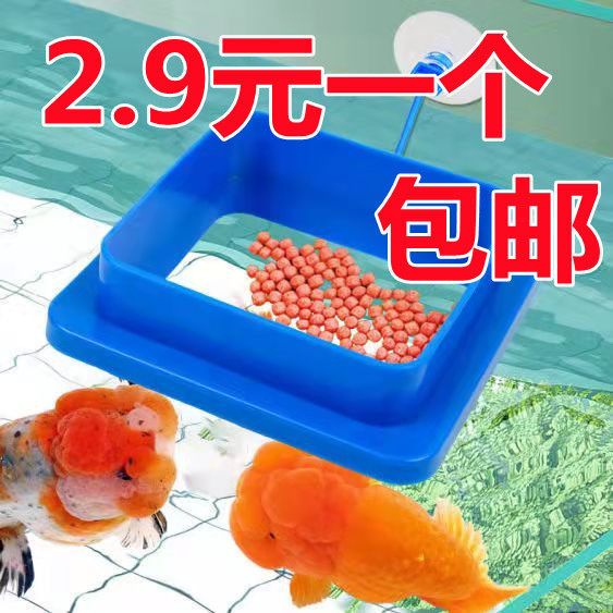 Feeder Feeding Circle Anti-Drifting Tropical Peacock Fish Feeding Circle Aquarium Fish Tank Fish Food Fish Food Feed FeedEr