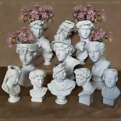 Western figure head vase flower pot David statue flower insert fleshy green plant pot resin home decoration