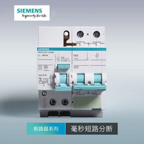 Siemens 2P63A leakage protector Total switch green circuit breaker four mode