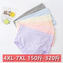 Pregnant women's underwear cotton late pregnancy high waist extra fat plus size 200kg 300kg underwear initial shorts head