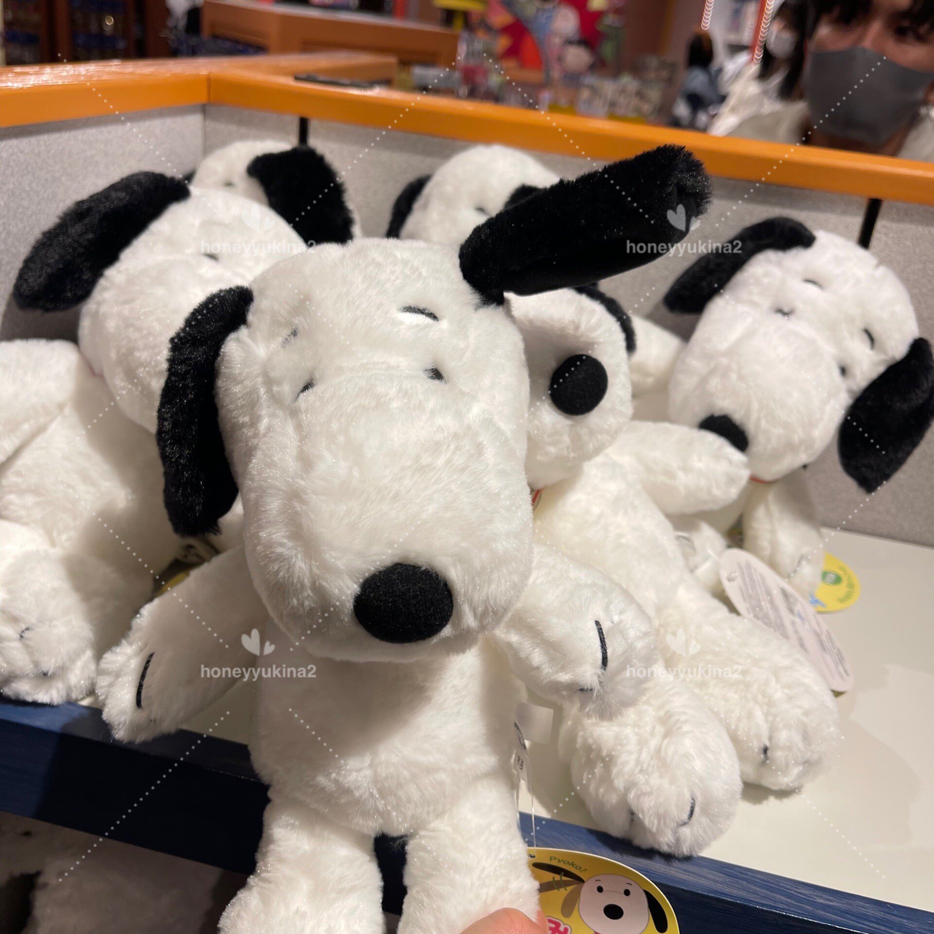 Japan's Osaka Universal Studios Shunu is upright with an ear upright and air cushion paparazzi cartoon plush
