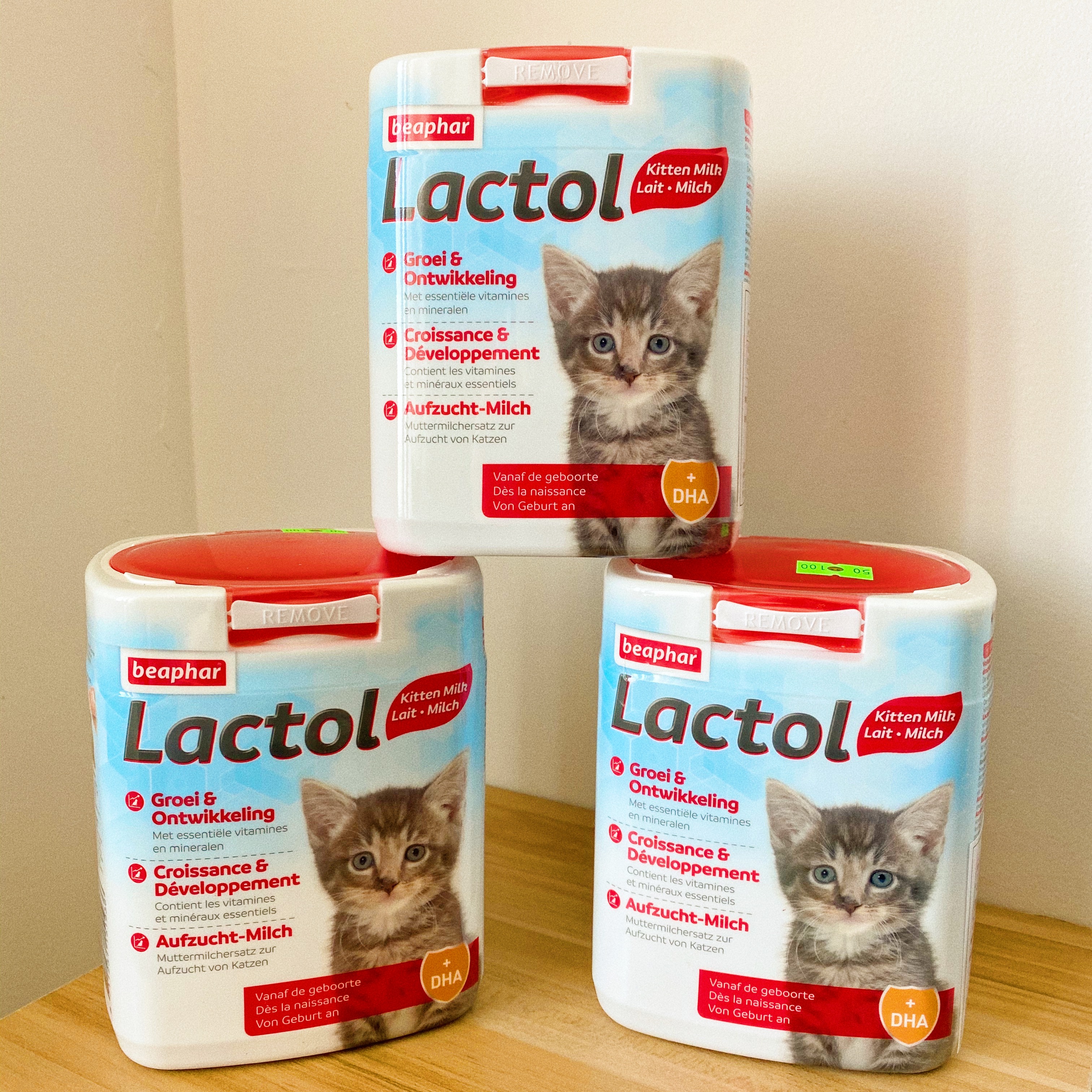 Dutch original Beibangbeibang milk powder Beaphar imported special kitten nutrition lactation pet milk powder 250g