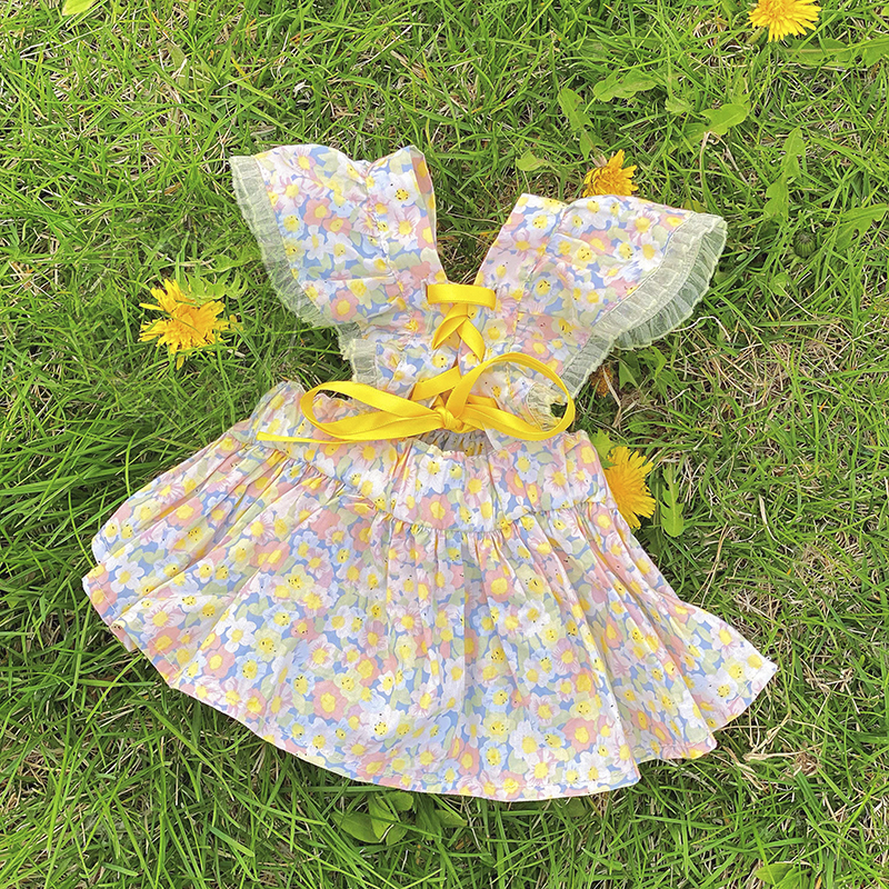 Pet Kitty Clothes Spring Summer Thin more than a Bear Marzis Puppy Lovely Small Dog Milk Dog Cat Foreign Dress