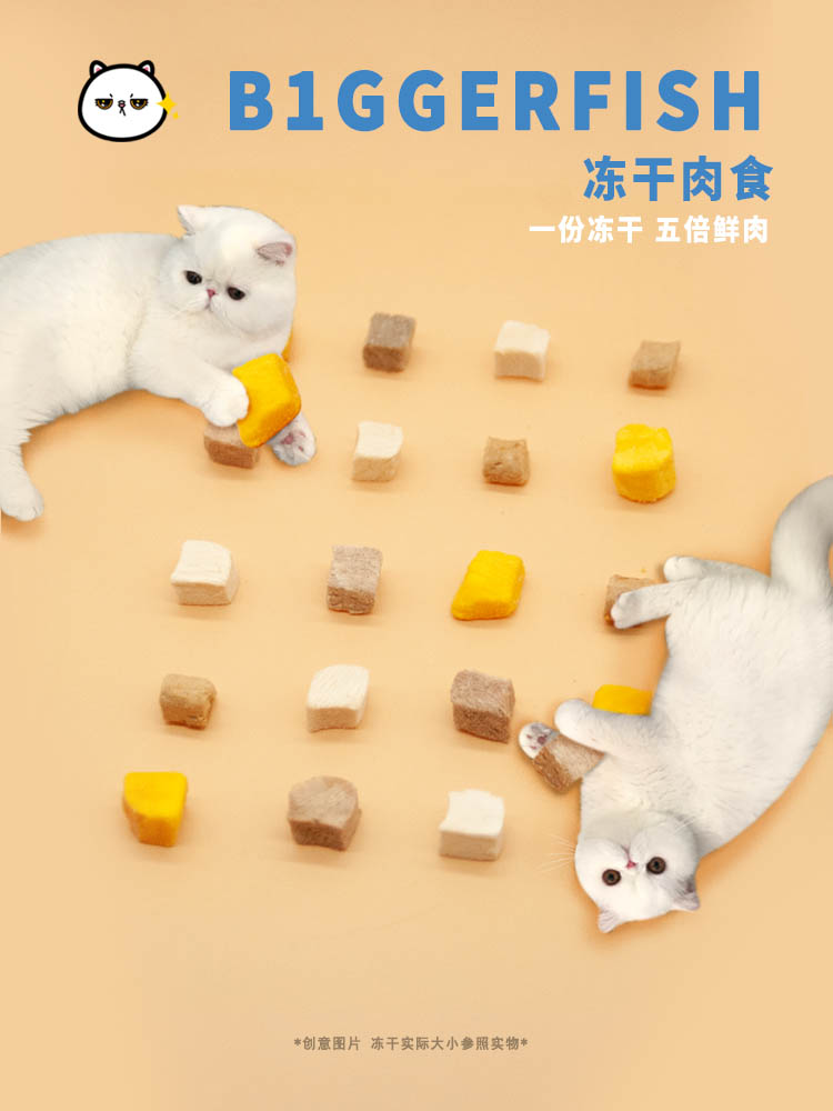 Cat freeze-dried cat snack pet kitten special raw bone meat cat rice meat dried cod beef chicken mixed cat food