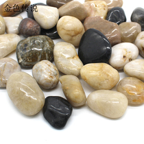 Model landscape stone diy hand-made sand table building model material micro-landscape background pebbles