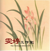 Meticulous painting white drawing draft orchid flower and bird painting Chinese painting painting character customization