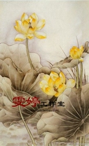 Gongbi painting White sketch Physical white paper background draft Flower and bird line drawing Chinese painting draft Lotus painting homework painting*