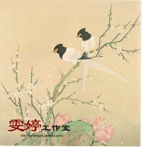 Gongbi painting white sketch manuscript -- Birthday belt La Mei flower Chinese painting Calligraphy painting Flowers and birds painting Living room painting Industrial painting