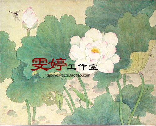 Work Stroke White Sketching white paper Bottom Draft Flower Bird Line sketching National Manuscript Lotus Dragonfly Painting Homework Painting