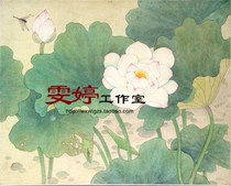 Gongbi painting white sketch Physical white paper background draft Flower and bird line drawing Chinese painting draft Lotus dragonfly painting homework painting