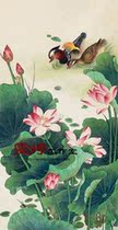 Meticulous painting white paper manuscript flower and bird line drawing Chinese painting manuscript Lotus Lotus Lotus Pond Mandarin duck painting *