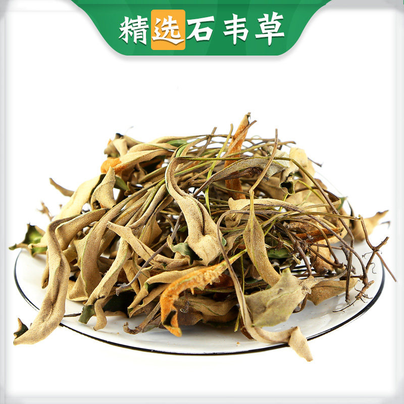 Shiwei grass Chinese medicinal material Shiwei 500g g Shiwei wild small leaf Shiwei tea Shiwei Shiwei herbal medicine