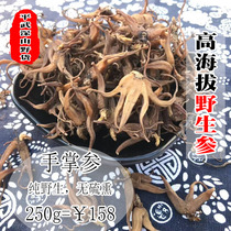 Hand Palm ginseng wild bergamot ginseng hand ginseng five finger ginseng plateau specialty Nourishing Body 250g