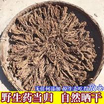Dry Angelica Sichuan Wild Medicine Angelica whole Angelica bulk farm direct drug Angelica 500g