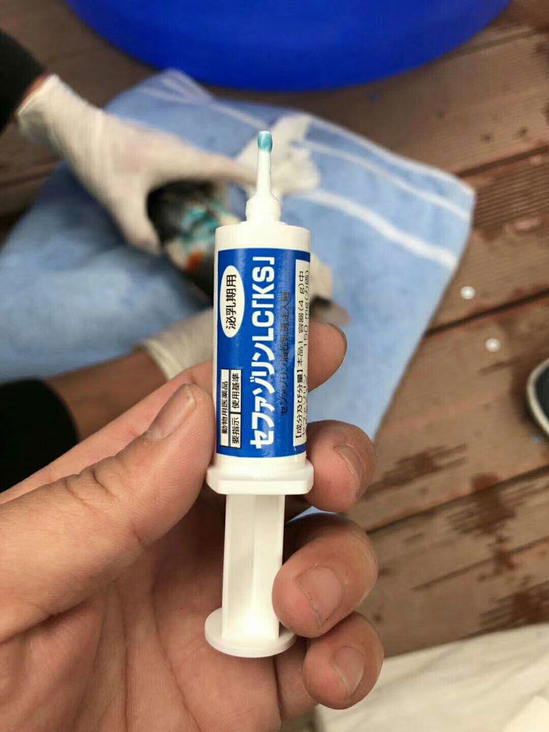 Japan imported blue plaster 4g koi fish freshwater fish bacterial wound inflammation healing perforation diseases ointment agent