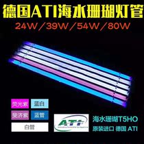 German ATI T5HO sea water lamp blue blue white Fiji purple fluorescent purple 24W 39W 54W 80W