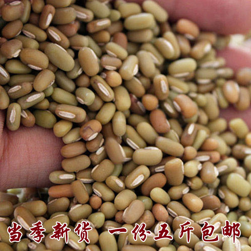 Guizhou soybean ripen bean bean bulk farmers own dry grocery grain one serving of five pounds of lazy bean bamboo bean