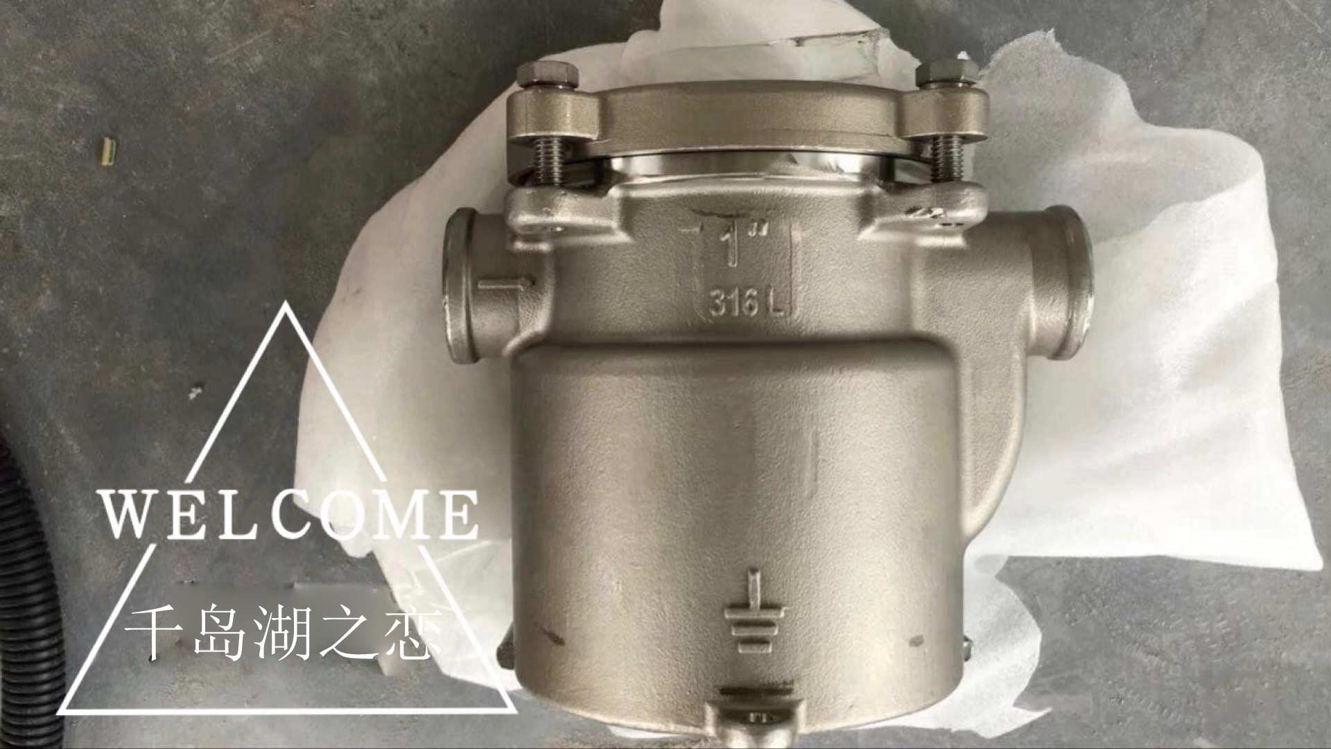 Marine yacht 316 stainless steel seawater filter Marine engine generator set seawater filter