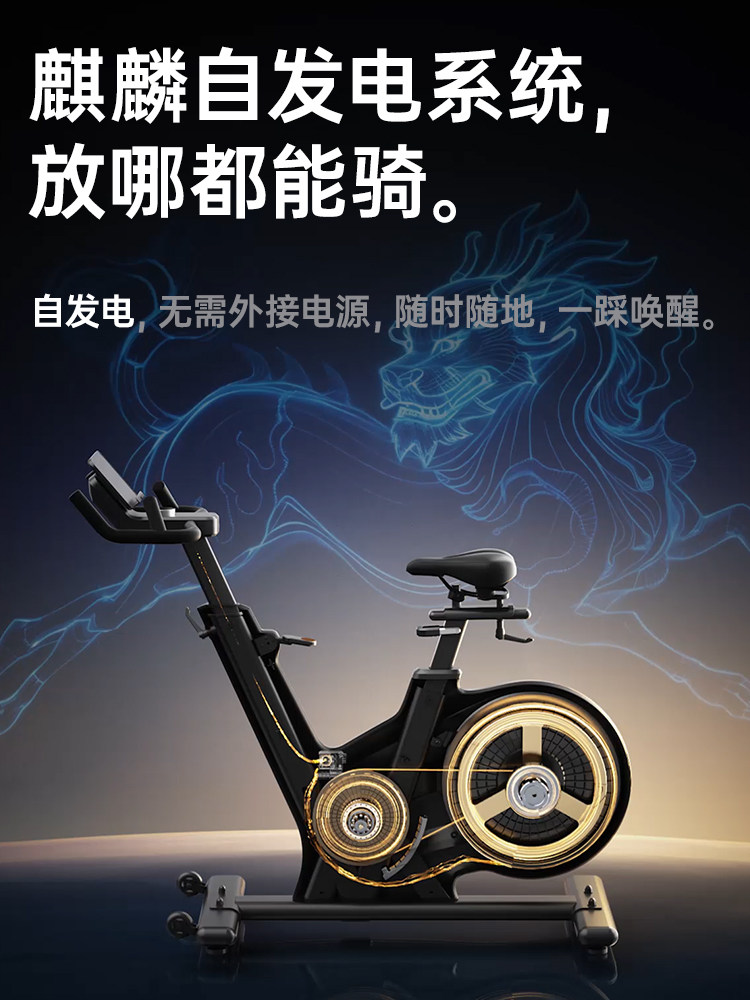 Youmei Spinning Bike Home Fitness Bike Magnetic Control Professional Gym Ultra-Quiet Exercise Weight Loss Equipment K8