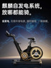 Youmei Spinning Bike Home Fitness Bike Magnetic Control Professional Gym Ultra-Quiet Exercise Weight Loss Equipment K8
