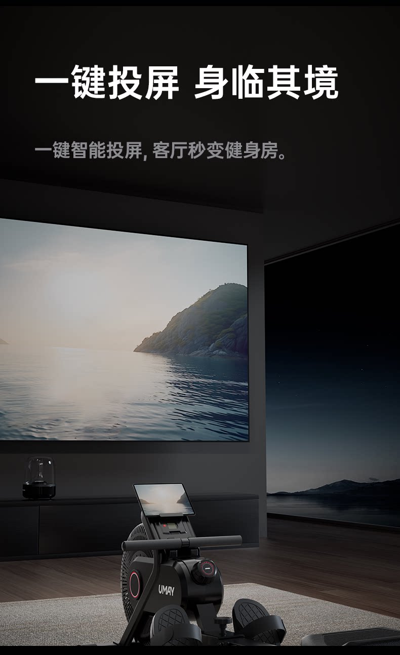 Тренажер для гребли 佑美画船机家用风磁双阻室内静音折叠健身器材健身房画船训练器w1 Umay