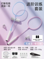 Усовершенствованная тренировка》 Сплав двойной выстрел [Sakura Pink + Peacock Blue] Ball Guard *12/Запястье *2/бумажный пакет/ручный клей/365 дней прерванного изменения пакета