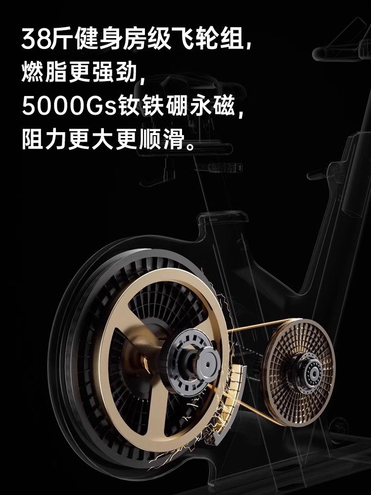 Youmei Spinning Bike Home Fitness Bike Magnetic Control Professional Gym Ultra-Quiet Exercise Weight Loss Equipment K8