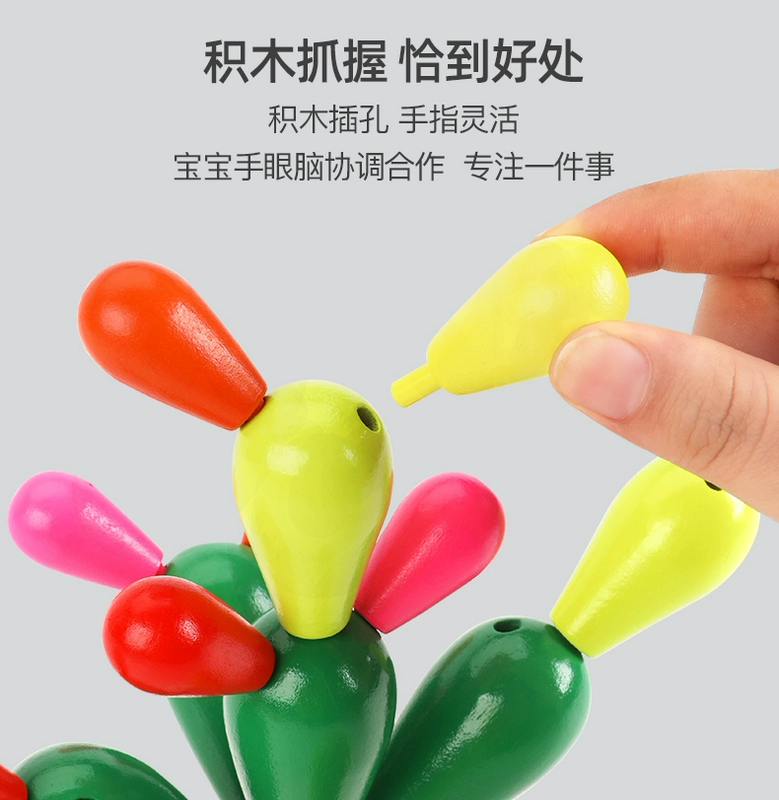 Gỗ xương rồng xương rồng chính tả chèn khối xây dựng Montessori giáo dục sớm xếp hình rèn luyện tư duy đồ chơi trẻ em 1-2 tuổi 3 bé