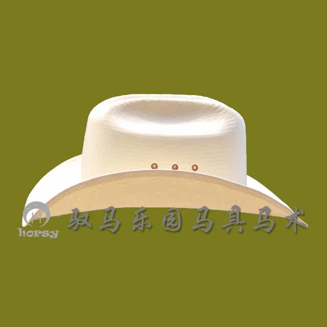 Article sports equestres HORSY - Ref 1382127 Image 3