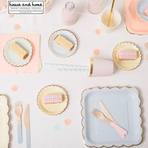 Felice Fazy disposable paper plate picnic plate Picnic Plate party tableware outdoor tableware color childrens birthday