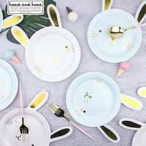 Disposable cartoon cute rabbit Childrens Day kindergarten handmade creative event Party picnic Easter tableware