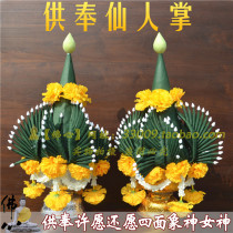 Thailand worship cactus altar Worship supplies Make a wish Return Thai Buddha card Shell Buddha card