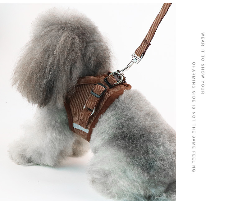 Teddy dog ​​dây xích chó nhỏ và vừa phong cách chó dây xích chó VIP chuỗi chó hơn gấu dây đeo mèo - Cat / Dog hàng ngày Neccessities đồ uống nước cho chó