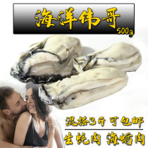 Wild oysters oysters oysters yellow oysters White green oysters clams fresh seafood fresh frozen