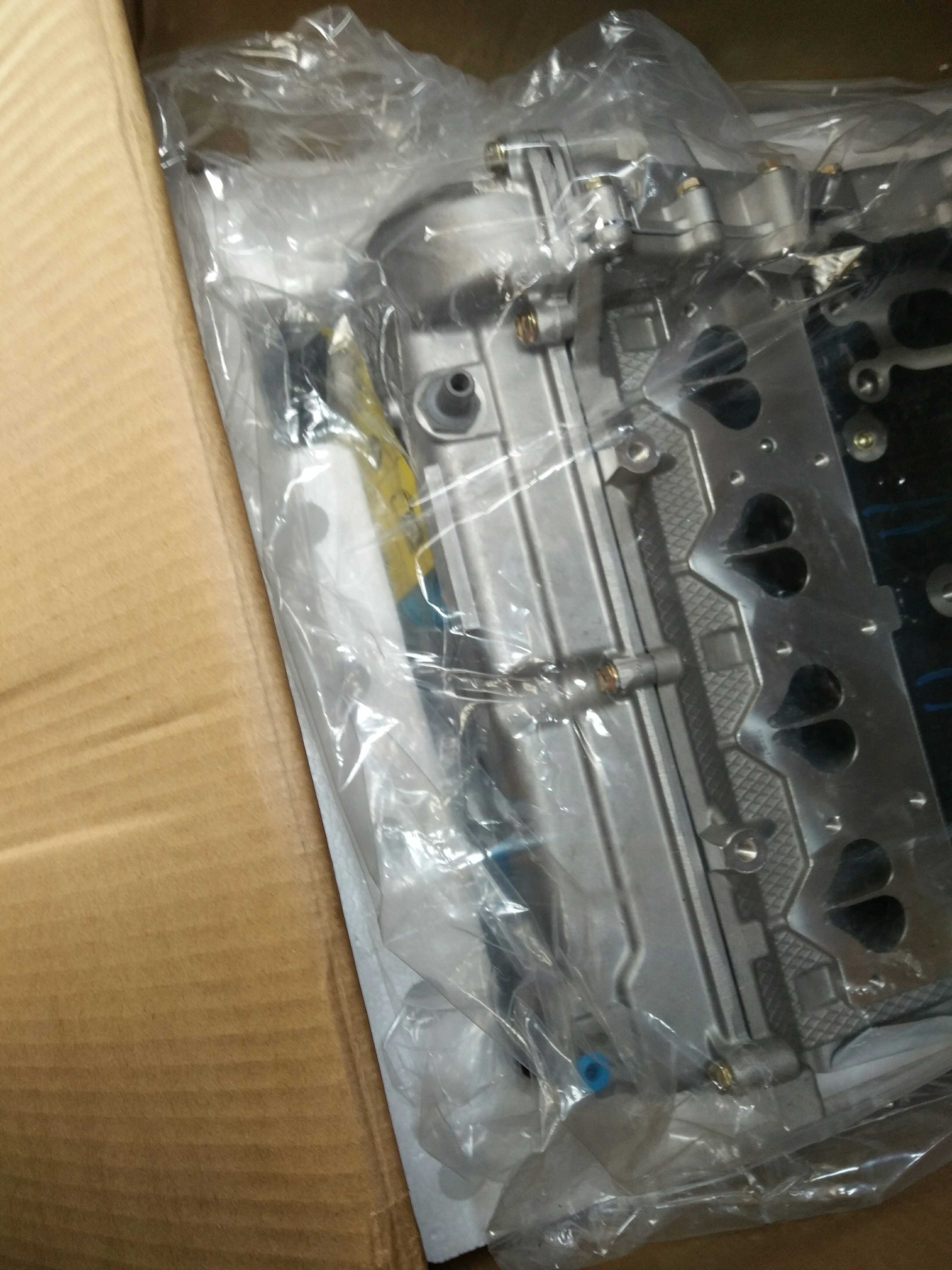 Black Panther crowdsourced Zhejiang Gio petrol engine TNN4G12 engine 1 2 displacement