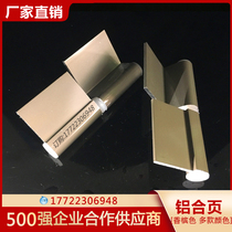 Aluminum purification accessories workshop double frame door detachable flag-shaped aircraft ordinary hinge color steel plate hinge
