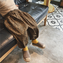 Boy 21 new winter BAO WEN bloomers