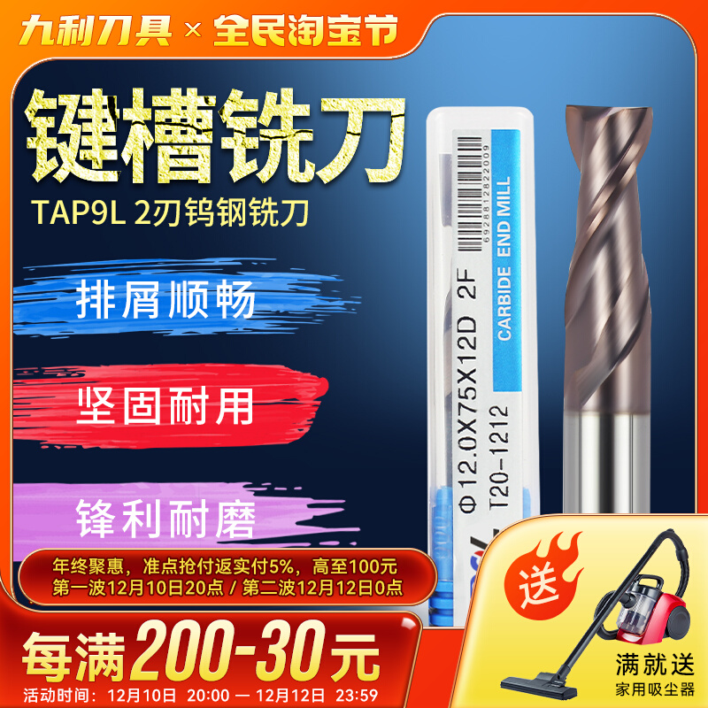TAP9L tungsten steel milling cutter 2 blade tungsten steel alloy keyway milling cutter integral carbide straight handle two blade end mill 16