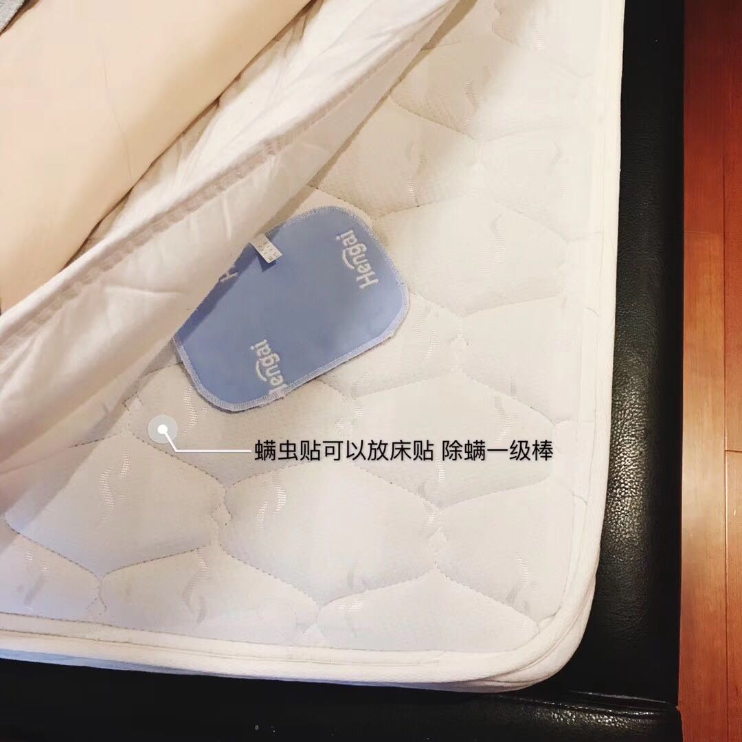 lọ xịt muỗi 嫣然 Nhật 哼 螨 heng hengai để 螨 神 tạo tác ngoài bộ đồ giường sofa hút nhà - Thuốc diệt côn trùng bình xịt muỗi tự vệ